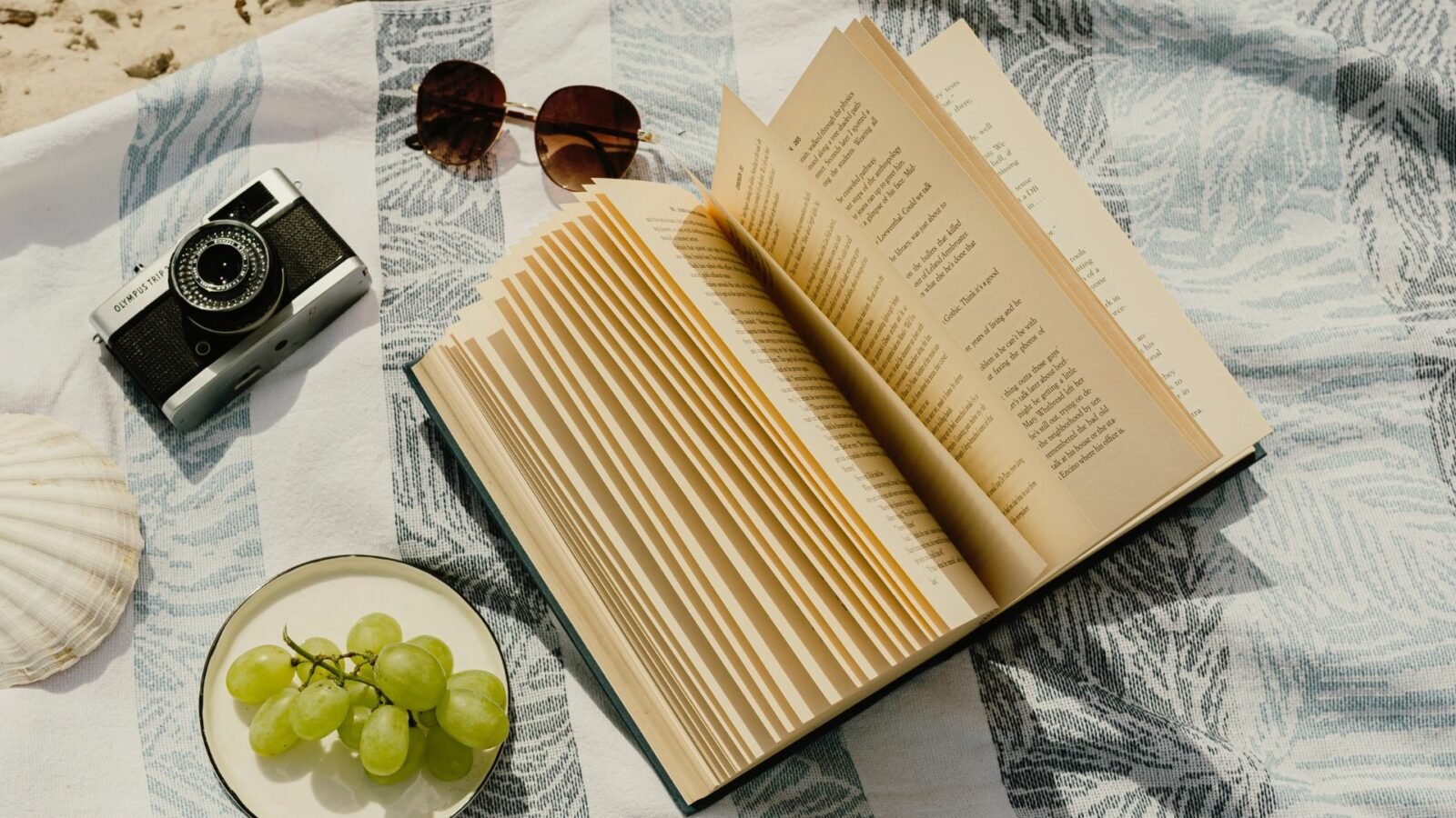 Summer is soon over but you still have time to read these 5 excellent novels