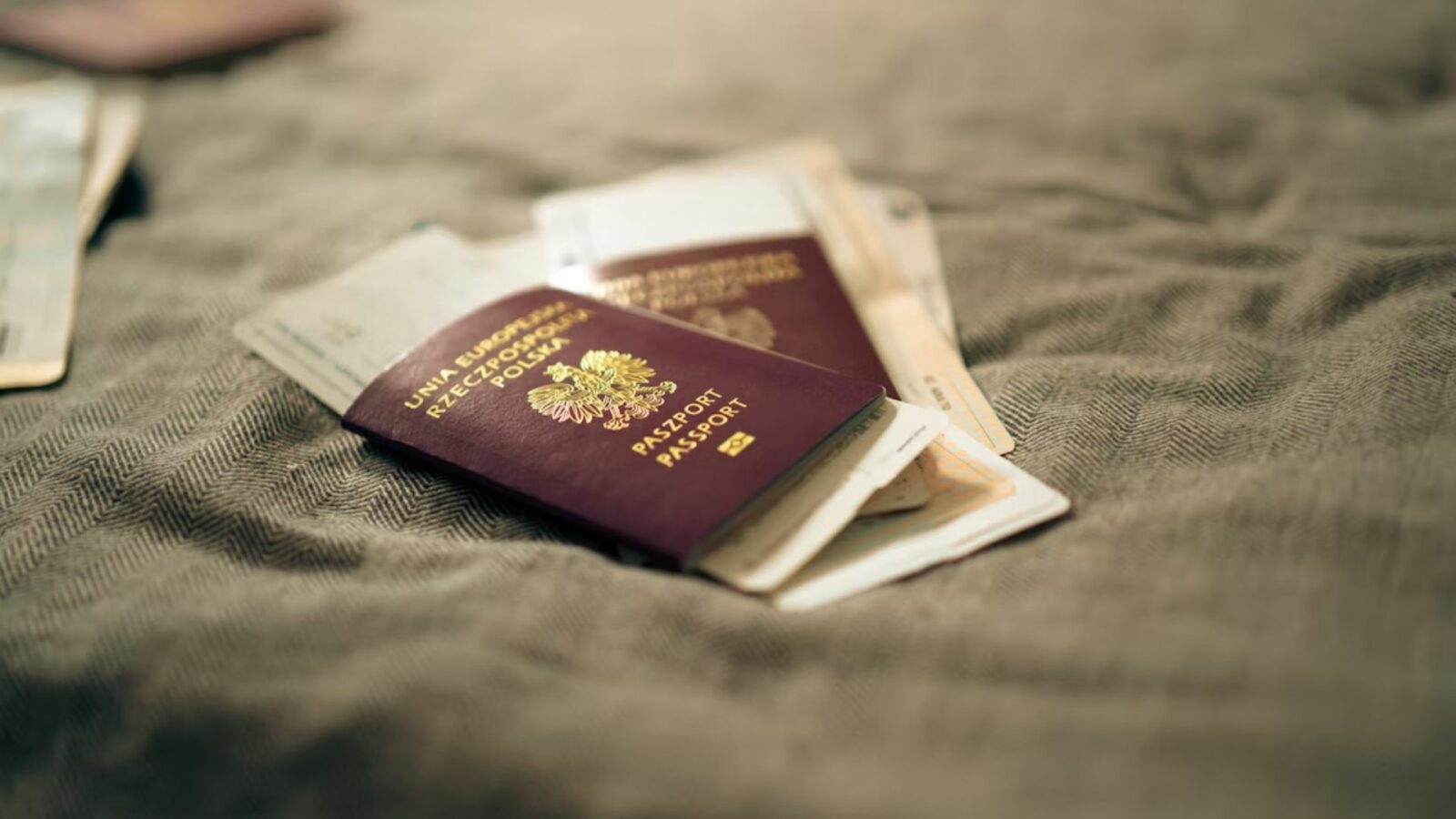 New border control in Europe: here’s what’s changing