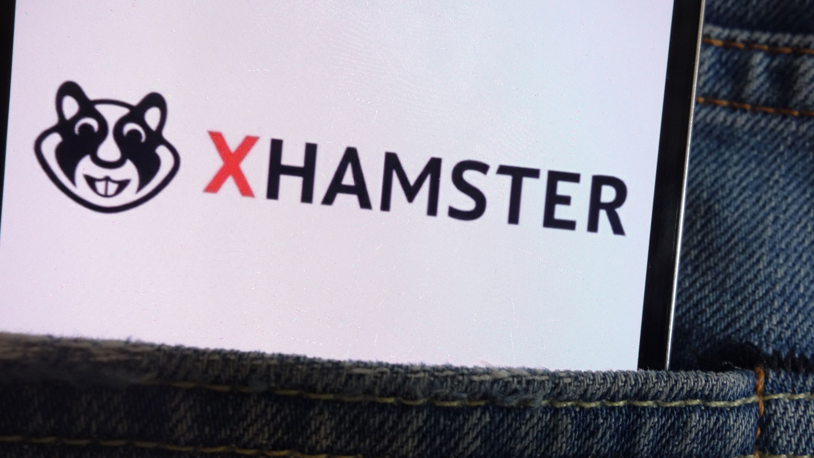 Xhamsterlive blocked in France: how to unlock it