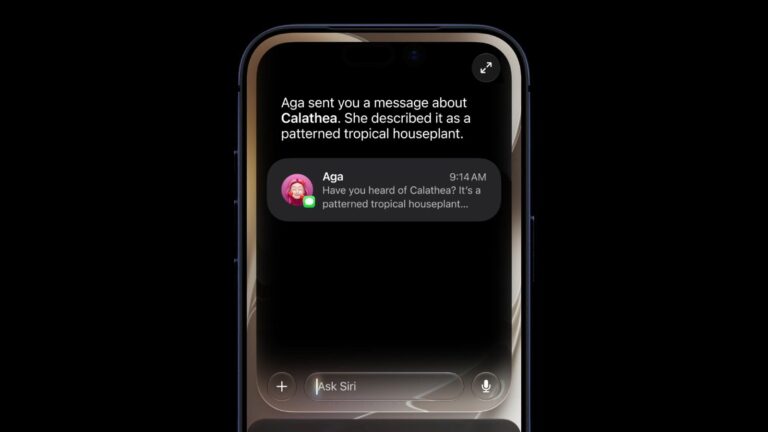 Craig Federighi explains why Apple opted for a Siri Chatbot app