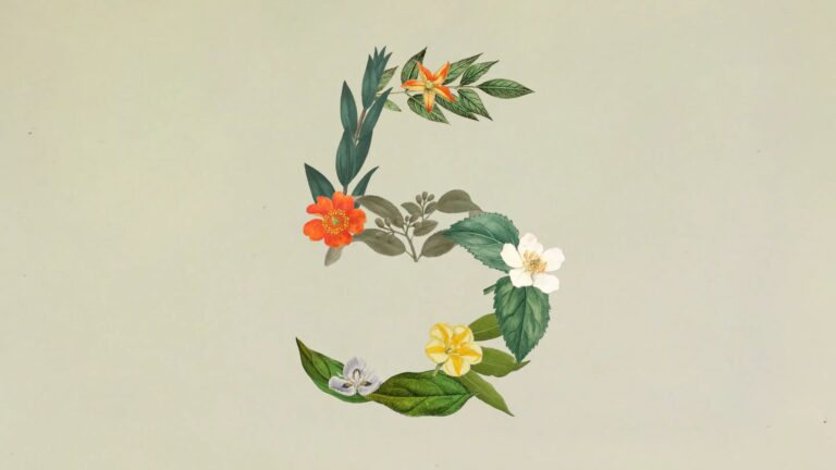 Anthropic releases Claude Sonnet 5 with near-opus performance at a lower price
