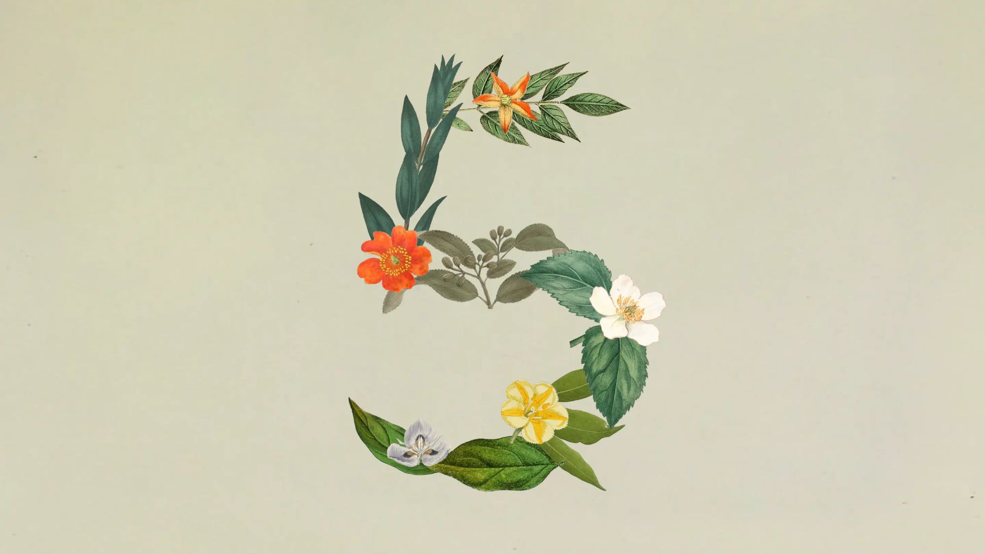 Anthropic releases Claude Sonnet 5 with near-opus performance at a lower price